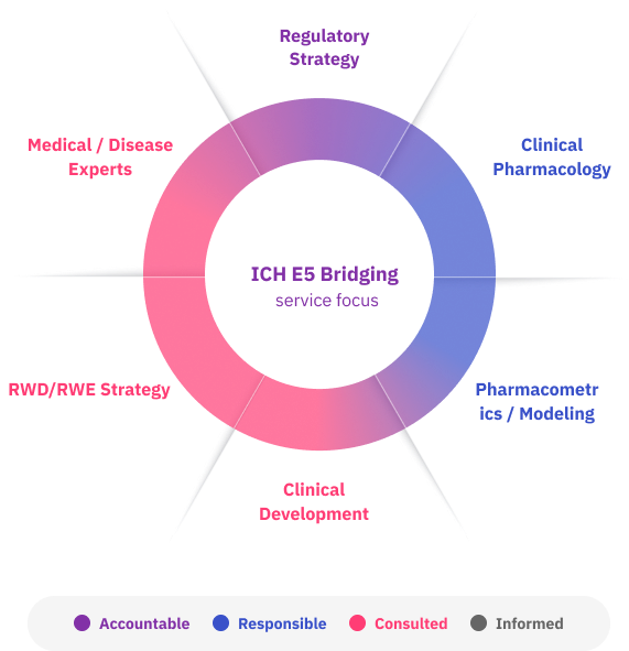 ICH E5 Bridging multidisciplinary participation graph